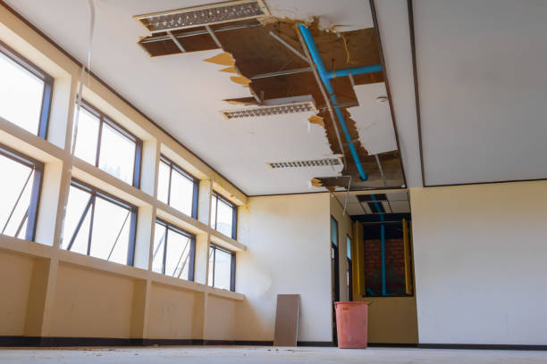 Best Water damage restoration process  in Hugo, OK