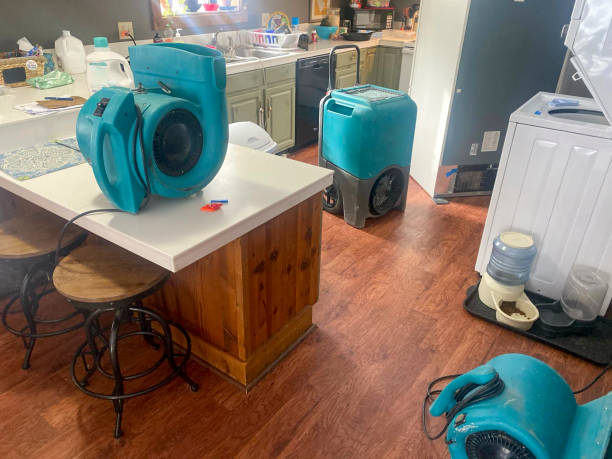Best Flood damage cleanup  in Hugo, OK