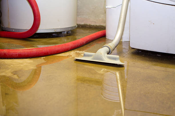 Best Professional water damage repair  in Hugo, OK