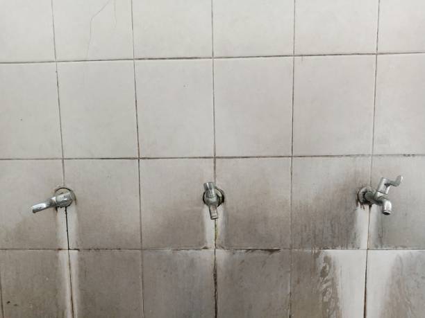 Best Carpet water damage restoration  in Hugo, OK