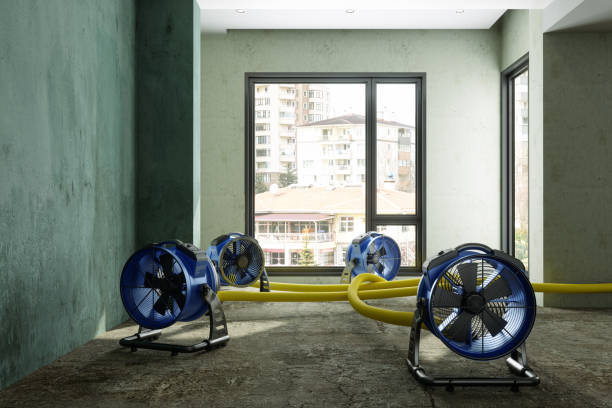Best Ceiling water damage repair  in Hugo, OK